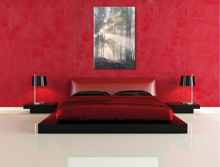 diesiger Waldweg, Format: 100x70 auf Leinwand, XXL riesige Bilder fertig gerahmt mit Keilrahmen, Kun