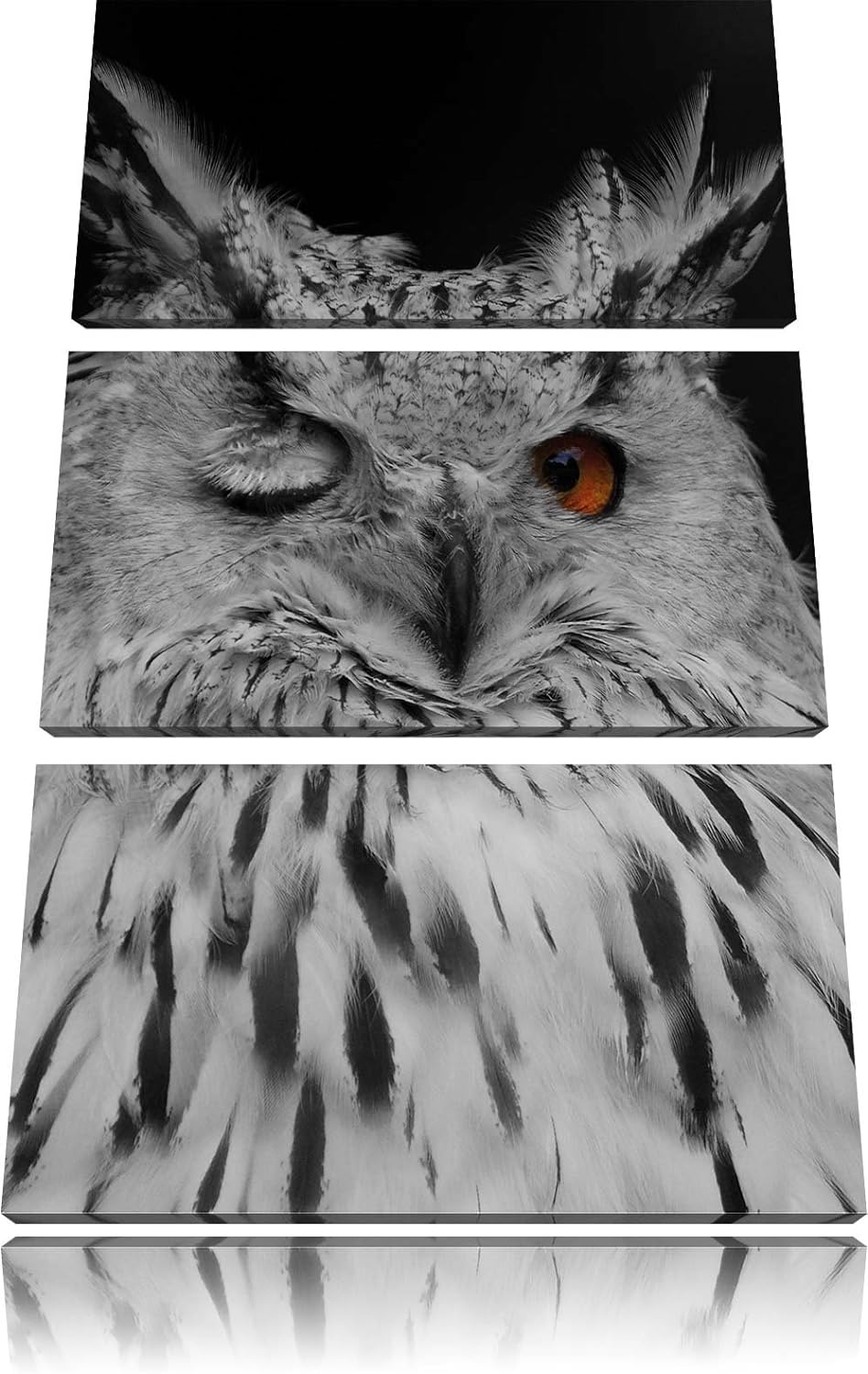 Pixxprint Dark schöne Waldohreule zwinkert schwarz/weiss 3-Teiler Leinwandbild 120x80 Bild auf Leinw