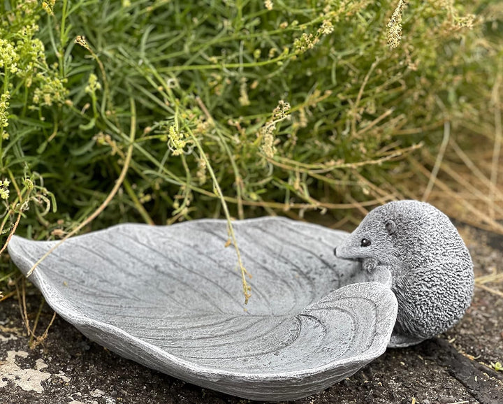 Stone and Style Vogeltränke Insektentränke Igel auf Blatt Steinguss frostfest
