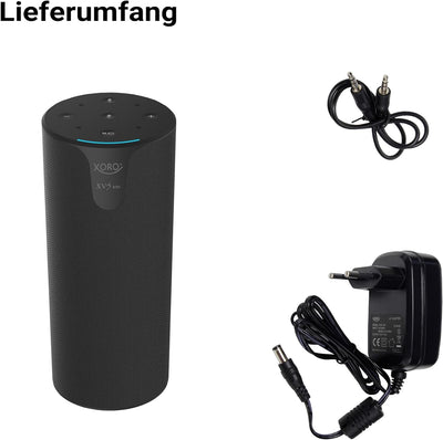 XORO Bluetooth Lautsprecher XVS 100 mit Alexa Voice Assistant Unterstützung, Bluetooth Musikplayer,