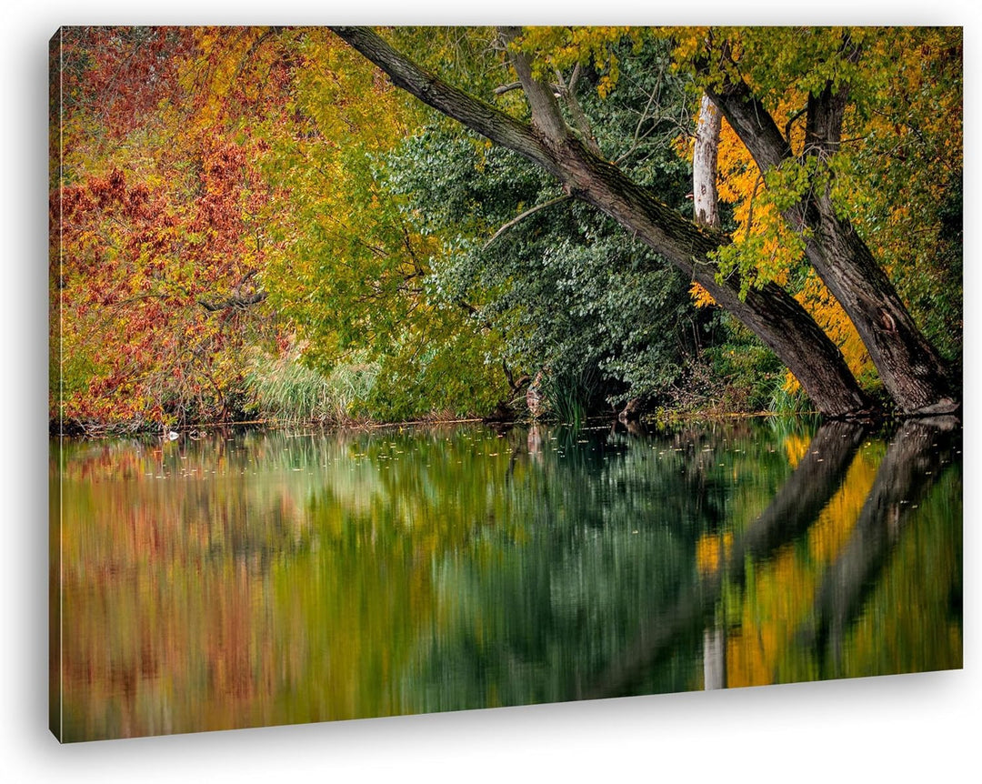 deyoli Bäume am Seeufer im Herbst Format: 60x40 als Leinwand, Motiv fertig gerahmt auf Echtholzrahme
