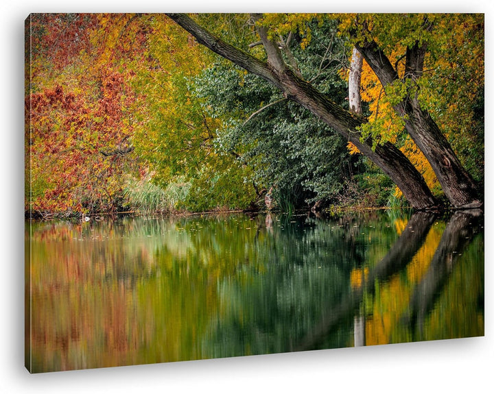 deyoli Bäume am Seeufer im Herbst Format: 60x40 als Leinwand, Motiv fertig gerahmt auf Echtholzrahme