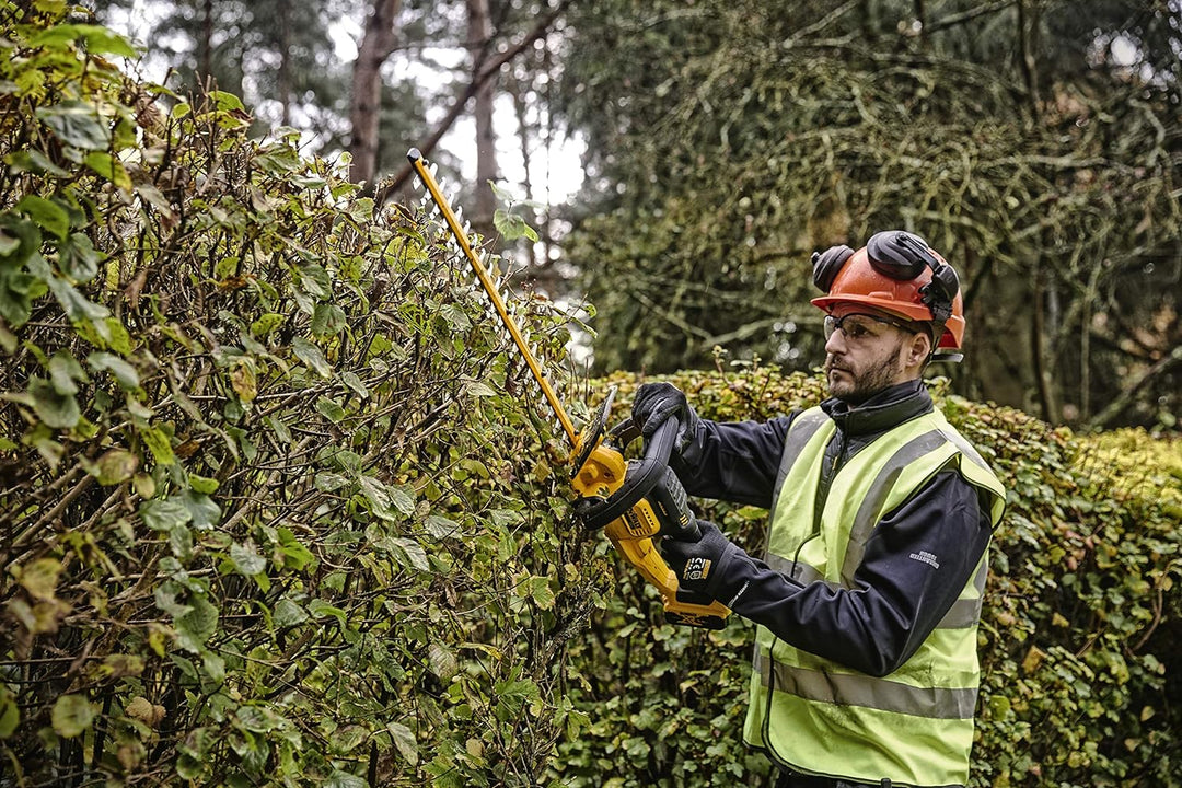 DEWALT Cortasetos XR 18V con 1 baterrie Li-Io Multicolor