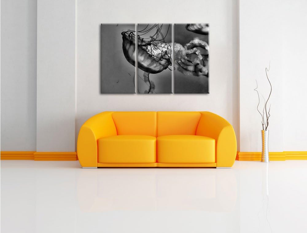 Pixxprint anmutige Qualle im Wasser als Leinwandbild/Grösse: 3 Teilig (120x80) cm/Wandbild/Kunstdruc