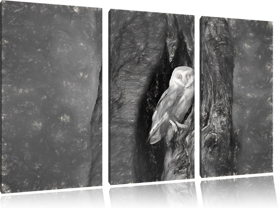 Pixxprint Schleiereule Baumhöhle / 3-Teilig/Gesamtmass 120cm Leinwandbild bespannt auf Holzrahmen/Wa