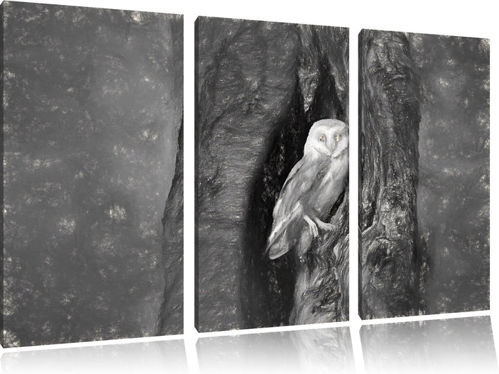 Pixxprint Schleiereule Baumhöhle / 3-Teilig/Gesamtmass 120cm Leinwandbild bespannt auf Holzrahmen/Wa