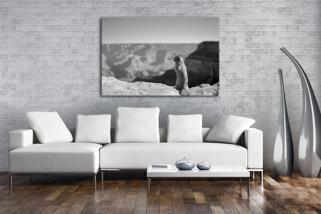 deyoli einsames Eichhörnchen am Canyon Effekt: Schwarz/Weiss Format: 60x40 als Leinwand, Motiv ferti