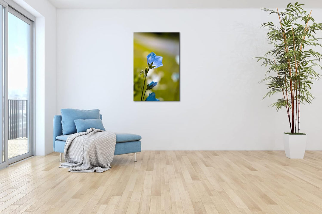 deyoli bezaubernde blaue Blume Format: 80x60 als Leinwandbild, Motiv fertig gerahmt auf Echtholzrahm