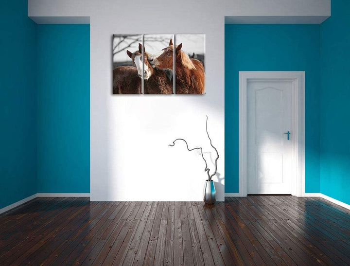 zwei braune Ponys schwarz/weiss 3-Teiler Leinwandbild 120x80 Bild auf Leinwand, XXL riesige Bilder f
