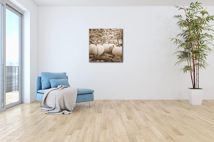 deyoli Herbstliche Kürbise Effekt: Sepia Format: 60x60 als Leinwandbild, Motiv fertig gerahmt auf Ec