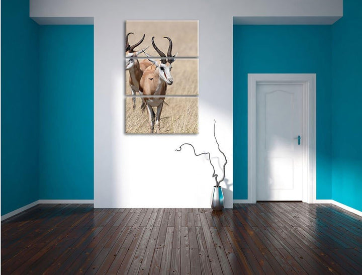 Pixxprint Tiere in Savanne Rehe Afrika als Leinwandbild/Grösse: 3 Teilig (120x80) cm/Wandbild/Kunstd