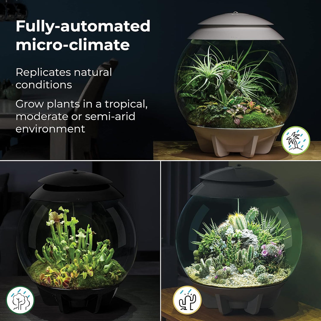 biOrb AIR 30 schwarz - Terrarium mit LED-Beleuchtung / Acryl-Becken zur Pflanzenpflege / für empfind