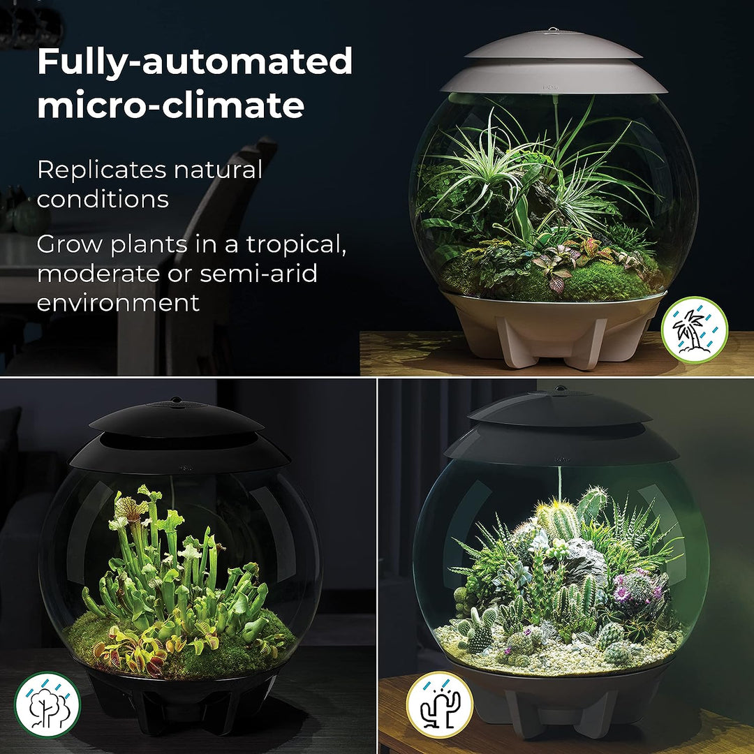 biOrb AIR 30 weiss - Terrarium mit LED-Beleuchtung / Acryl-Becken zur Pflanzenpflege / für empfindli