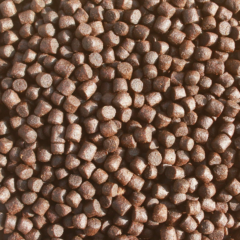 Koifutter, Energiefutter schwimmend, Wachstumsfutter, Farbschutz u. Immunschutz , deutsches Premium