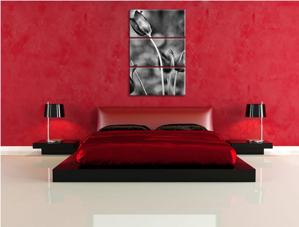 Pixxprint Tulpen im Abendlicht als Leinwandbild/Grösse: 3 Teilig (120x80) cm/Wandbild/Kunstdruck/fer