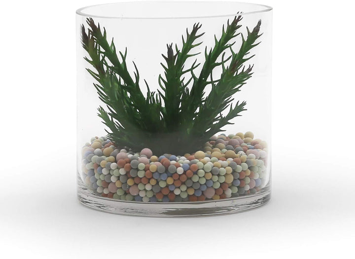 WGVI HCH0606 Vasen, Glas, farblos, 6"x6"H