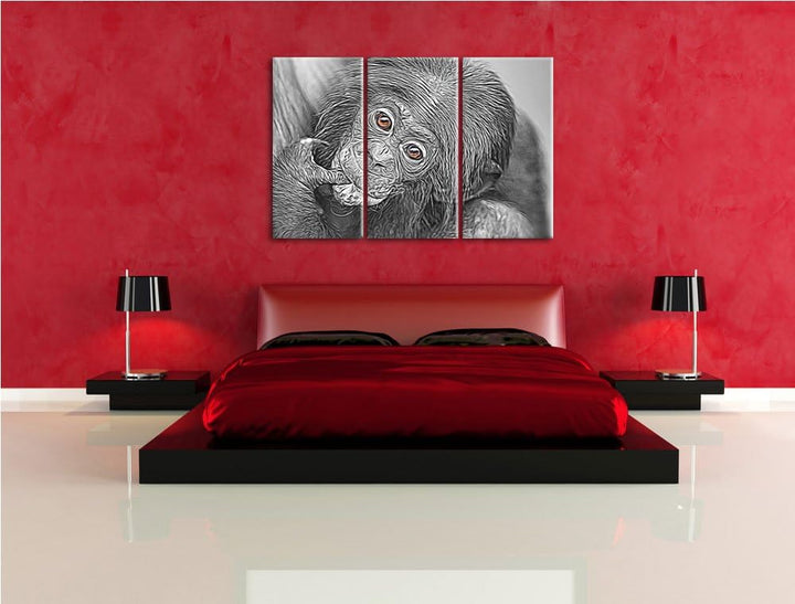 süsses Orang-Utan-Junges schwarz/weiss Deluxe 3-Teiler Leinwandbild 120x80 Bild auf Leinwand, XXL ri
