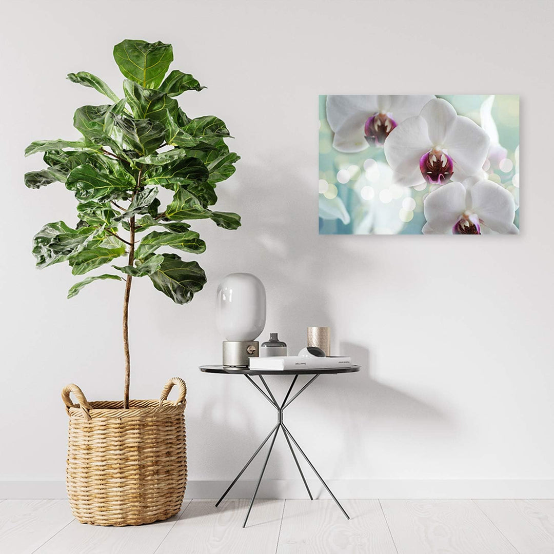 Feeby Bild auf Leinwand Natur Kunstdruck modern Orchideen Weiss 80x60 cm Leinwandbild 80x60 cm Weiss