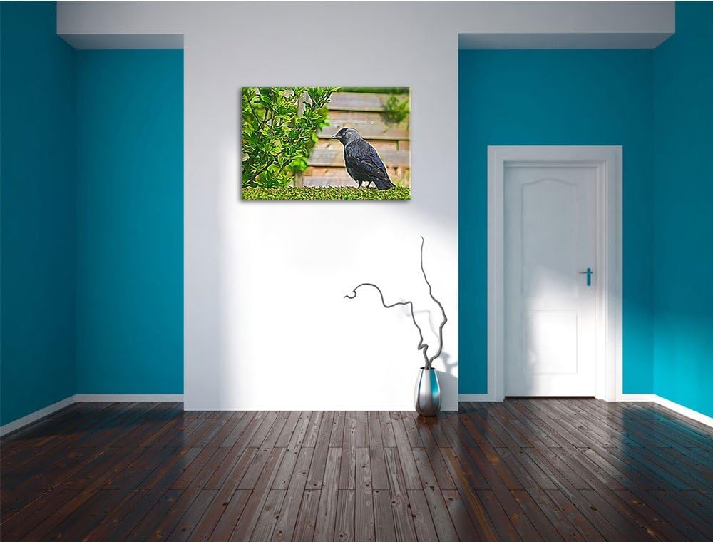 schöner schwarzer Vogel auf Gartenwiese NewArt Format: 100x70 cm auf Leinwand, XXL riesige Bilder fe