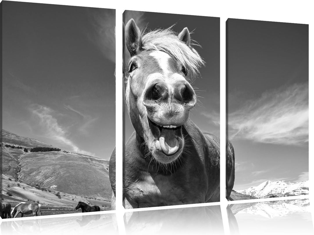 Pixxprint Pferd in der Natur als Leinwandbild | Grösse: 3 Teilig (120x80) | Wandbild| Kunstdruck | f