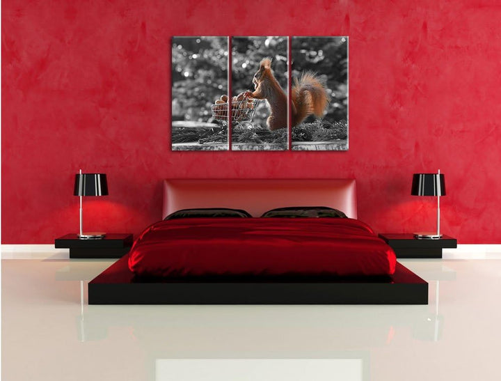 Pixxprint Eichhörnchen Schorschi Einkaufswagen B&W Detail 3-Teiler Leinwandbild 120x80 Bild auf Lein