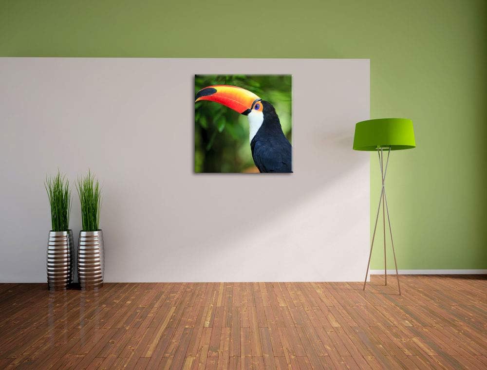 Pixxprint Bunter Tukan, Format: 70x70 auf Leinwand, XXL riesige Bilder fertig gerahmt mit Keilrahmen