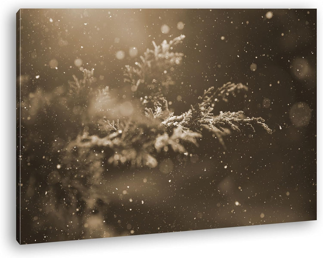 deyoli verschneiter Nadelzweig Format: 80x60 Effekt: Sepia als Leinwand, Motiv fertig gerahmt auf Ec