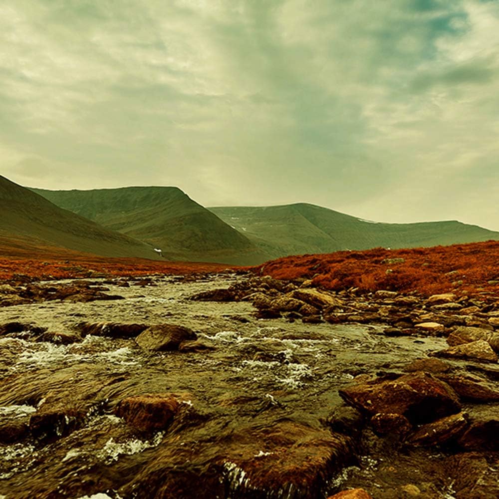 Feeby Bilder Landschaft 200x100 cm - Leinwandbild 5 Teilig XXL Kunstdruck Steine grün Leinwandbild X