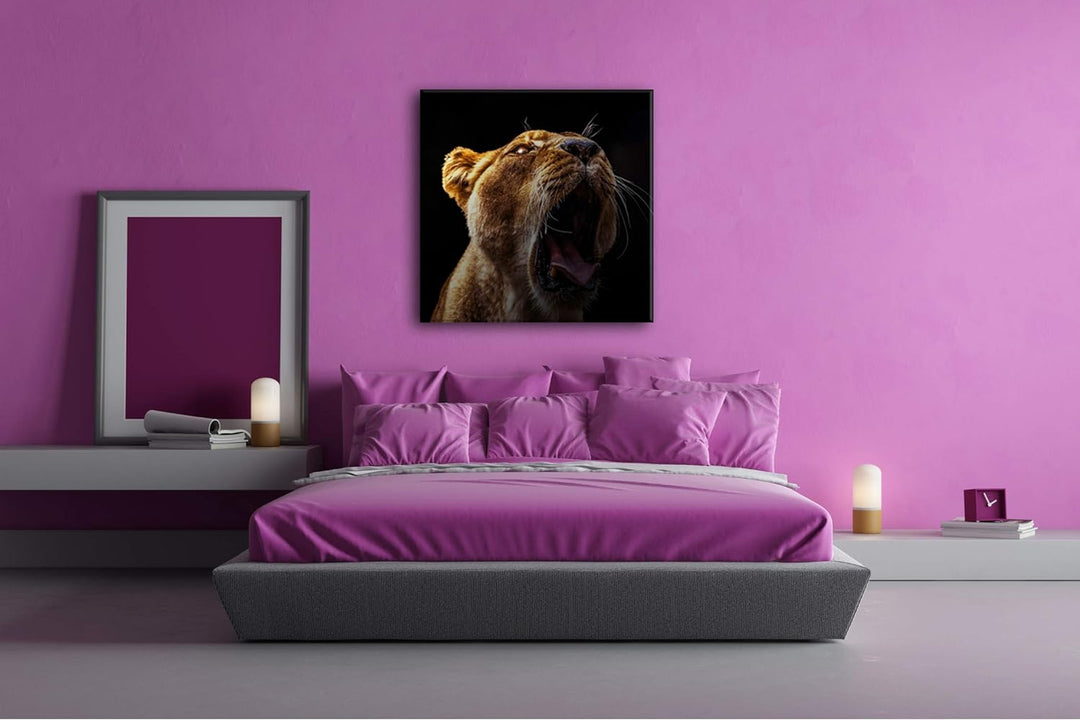 deyoli Dark stolze Löwin Format: 70x70 als Leinwand, Motiv fertig gerahmt auf Echtholzrahmen, Hochwe