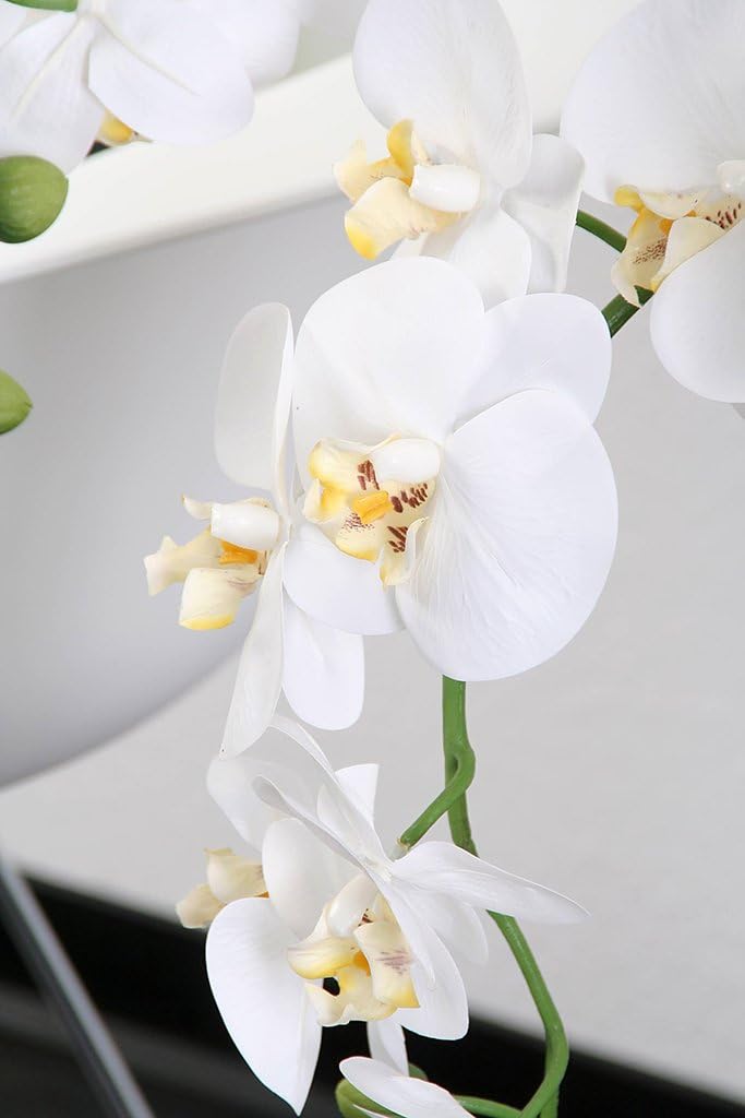 levandeo Weisse Orchidee 72cm Pflanze Kunstblume Kunstpflanze Dekoration Blume Dekoblume 72cm Weiss,