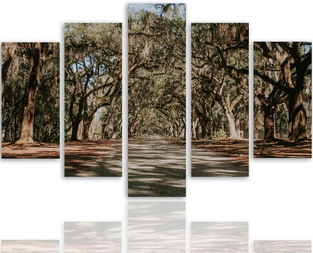 Feeby Leinwandbild Landschaft 5 TLG Bild Kunstdruck Natur Bäume Weg Allee bunt 100x70 cm Leinwandbil