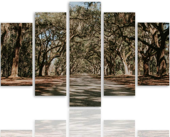 Feeby Leinwandbild Landschaft 5 TLG Bild Kunstdruck Natur Bäume Weg Allee bunt 100x70 cm Leinwandbil