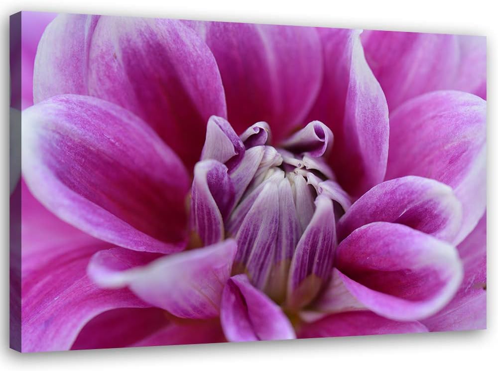 Feeby Wandbild Natur Druckbild Leinwandbild Pflanze Violett 100x70 cm Leinwandbild 100x70 cm Violett