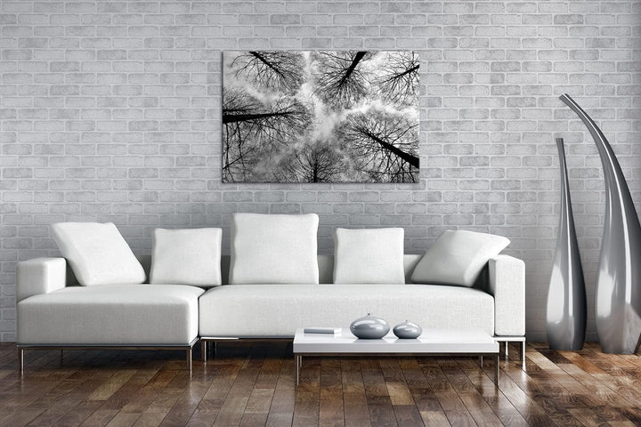 deyoli riessige Baumkronen im Herbst Format: 80x60 als Leinwand, Effekt: Schwarz&Weiss, Motiv fertig