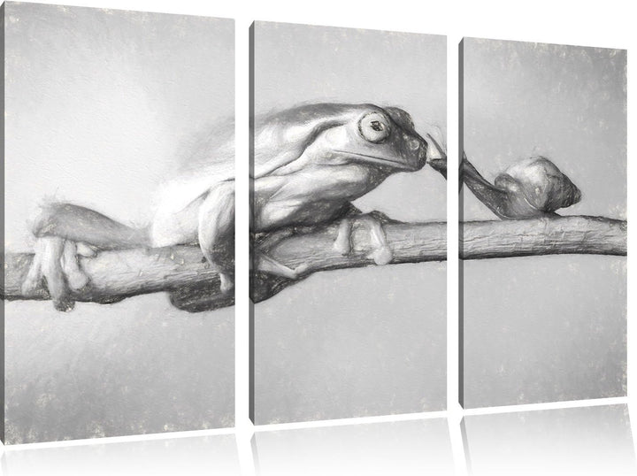 Pixxprint Frosch und Schnecke Kunst als Leinwandbild 3 teilig/Grösse: 3 Teilig (120x80) / Wandbild/K