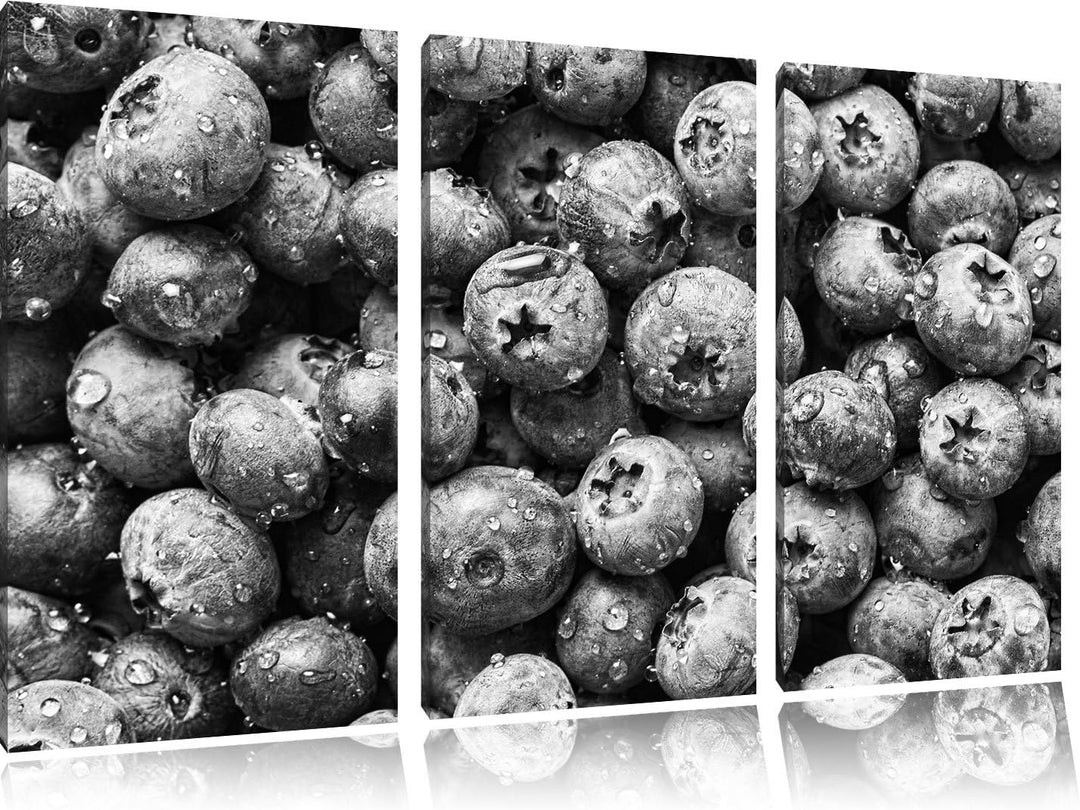 Pixxprint Blaubeeren mit Wassertropfen Kunst B&W 3-Teiler Leinwandbild 120x80 Bild auf Leinwand