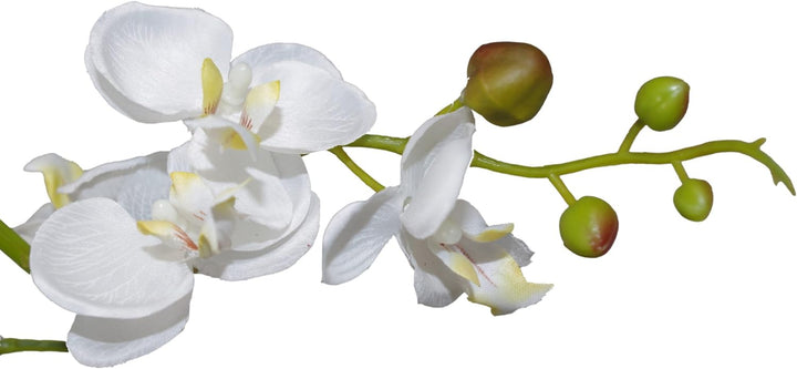 Leaf Kunstpflanze Orchidee, Blätter, 60 cm, Weiss 60cm White, 60cm White