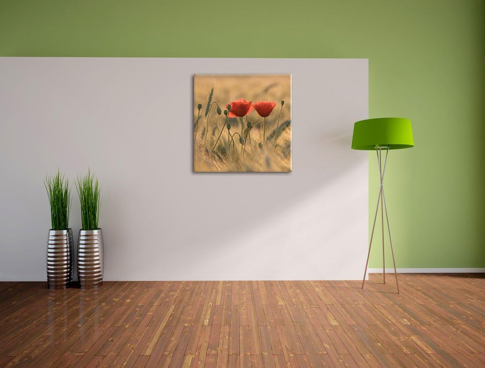 Zwei schöne Mohnblumen, Format: 70x70 auf Leinwand, XXL riesige Bilder fertig gerahmt mit Keilrahmen