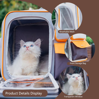 PETCUTE Haustiertragetasche,Hunde Transportbox mit Herausnehmbarer Matte,Faltbare Katzenrucksack Hun