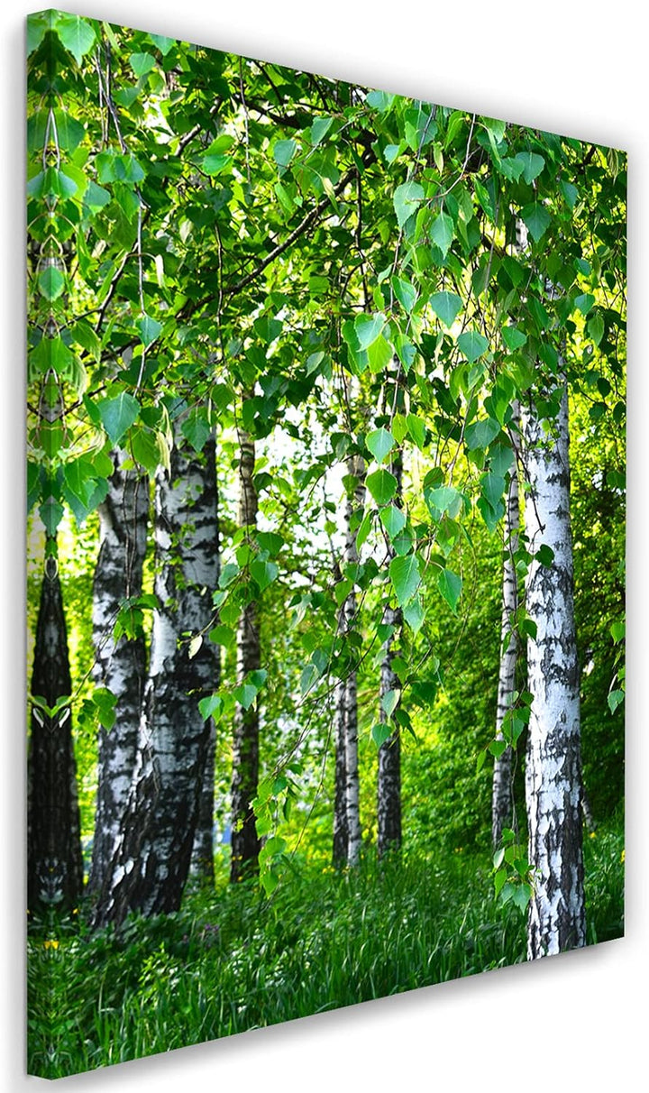 Feeby Wandbilder Birke Wald Landschaft XXL 80x120 cm 1Teilig Modern Vlies Bilder Leinwandbilder Bild