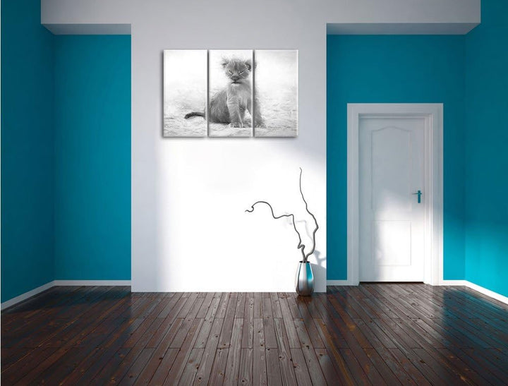 Pixxprint Verlassenes Löwenbaby als Leinwandbild/Grösse: 3 Teilig (120x80) cm/Wandbild/Kunstdruck/fe