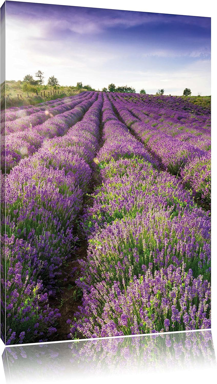 Lavendelfeld Provence, Format: 100x70 auf Leinwand, XXL riesige Bilder fertig gerahmt mit Keilrahmen