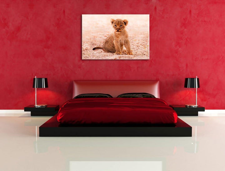 Verlassenes Löwenbaby, Format: 100x70 auf Leinwand, XXL riesige Bilder fertig gerahmt mit Keilrahmen