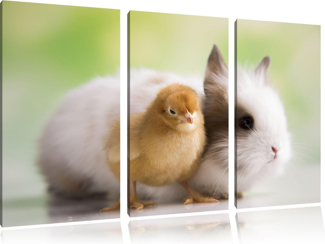 Pixxprint kleines Küken mit süssem Häschen 3-Teiler Leinwandbild 120x80 Bild auf Leinwand