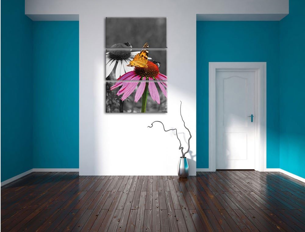 Pixxprint Schmetterling auf Kornblume als Leinwandbild/Grösse: 3 Teilig (120x80) cm/Wandbild/Kunstdr