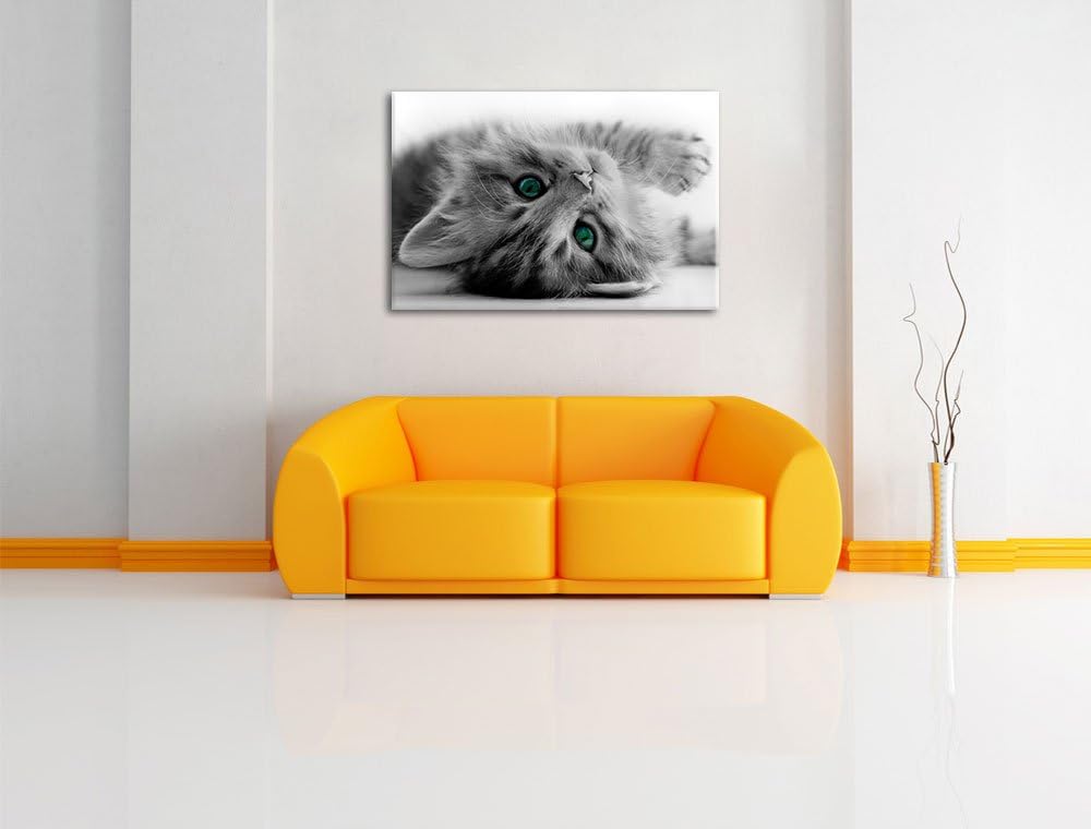 Pixxprint Süsses Katzenbaby als Leinwandbild/Grösse: 100x70 cm/Wandbild/Kunstdruck/fertig bespannt,