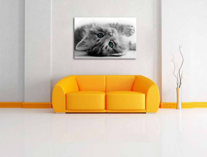 Pixxprint Süsses Katzenbaby als Leinwandbild/Grösse: 100x70 cm/Wandbild/Kunstdruck/fertig bespannt,