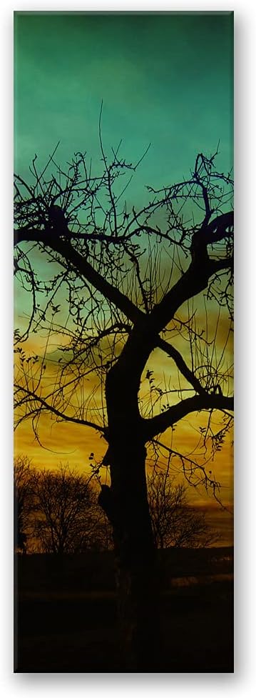 Febby Vlies Leinwandbild XXL Abend 50x150 cm Wandbild Kunst Bilder Schlafzimmer Deko Wohnzimmer Alte