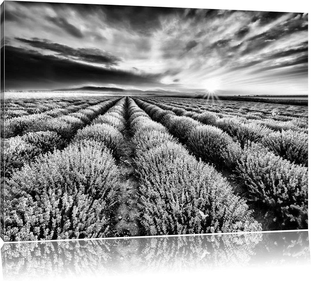 Pixxprint Traumhafte Lavendel Provence / 100x70cm Leinwandbild bespannt auf Holzrahmen/Wandbild Kuns