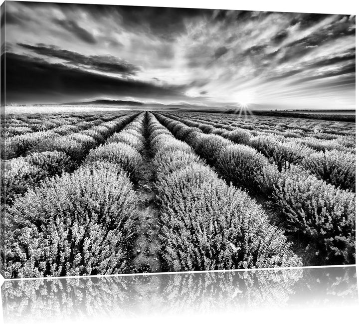 Pixxprint Traumhafte Lavendel Provence / 100x70cm Leinwandbild bespannt auf Holzrahmen/Wandbild Kuns